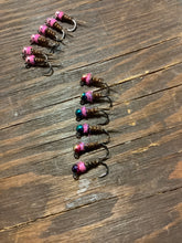 Load image into Gallery viewer, 3 PT Frenchies Pink Collar (In Stock)