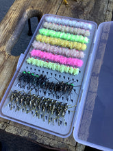 Load image into Gallery viewer, Great Lakes Steelhead Assortment Flies in Waterproof Box