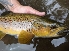 Load image into Gallery viewer, Jiggy Sculpin (Single or 5 pack In Stock)