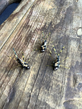 Load image into Gallery viewer, 3 Rubber Leg Stoneflies (In Stock)
