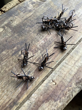 Load image into Gallery viewer, 3 Rubber Leg Stoneflies