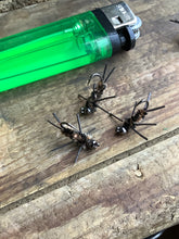 Load image into Gallery viewer, 3 Rubber Leg Stoneflies