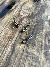 Load image into Gallery viewer, 3 Rubber Leg Stoneflies (In Stock)