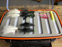 Load image into Gallery viewer, Great Lakes Steelhead Assortment Flies in Waterproof Box