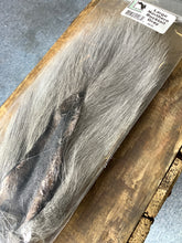 Load image into Gallery viewer, Large Northern Buck Tail