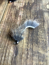 Load image into Gallery viewer, Pine Squirrel Leech