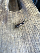 Load image into Gallery viewer, Heavyweight Rubber Leg Stoneflies