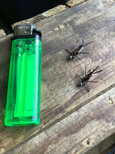 Load image into Gallery viewer, 3 Rubber Leg Stoneflies