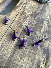 Load image into Gallery viewer, 3 Rubber Leg Stoneflies (In Stock)