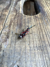 Load image into Gallery viewer, Heavyweight Rubber Leg Stoneflies
