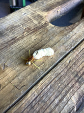 Load image into Gallery viewer, Mop Bug