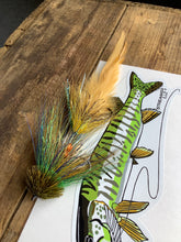 Load image into Gallery viewer, Streamer King Flies Mini Bufords
